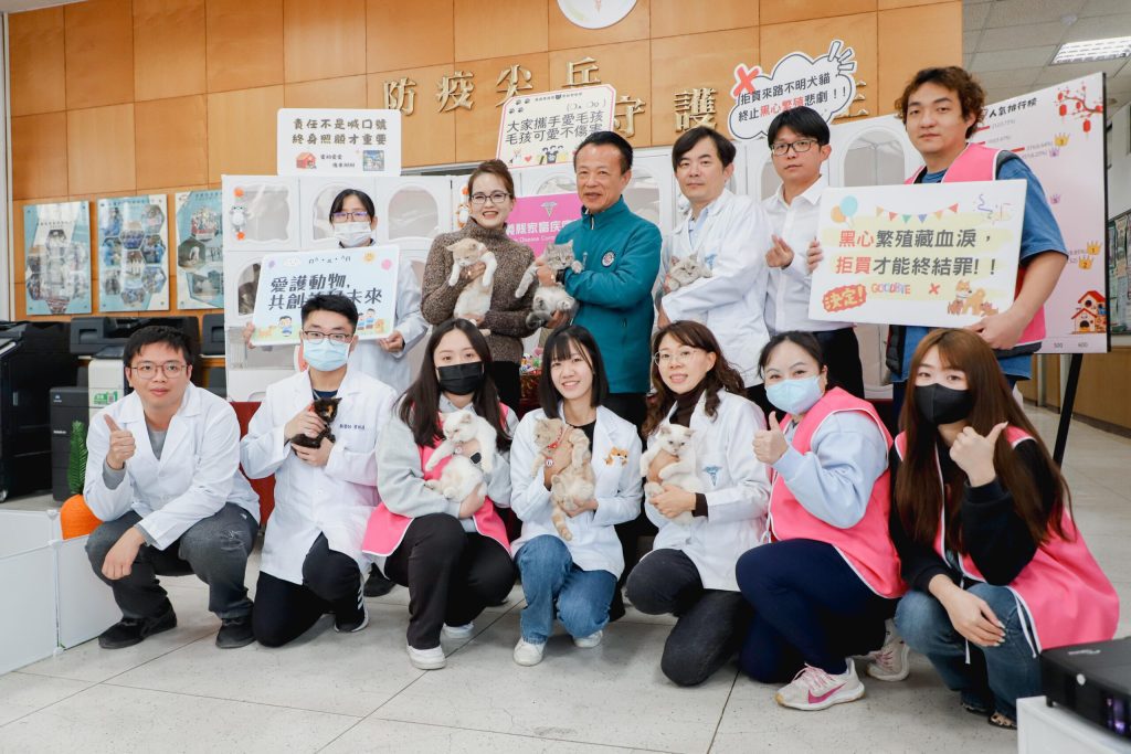 「喵星人命定配對」揭曉　抽出29名幸運鏟屎官