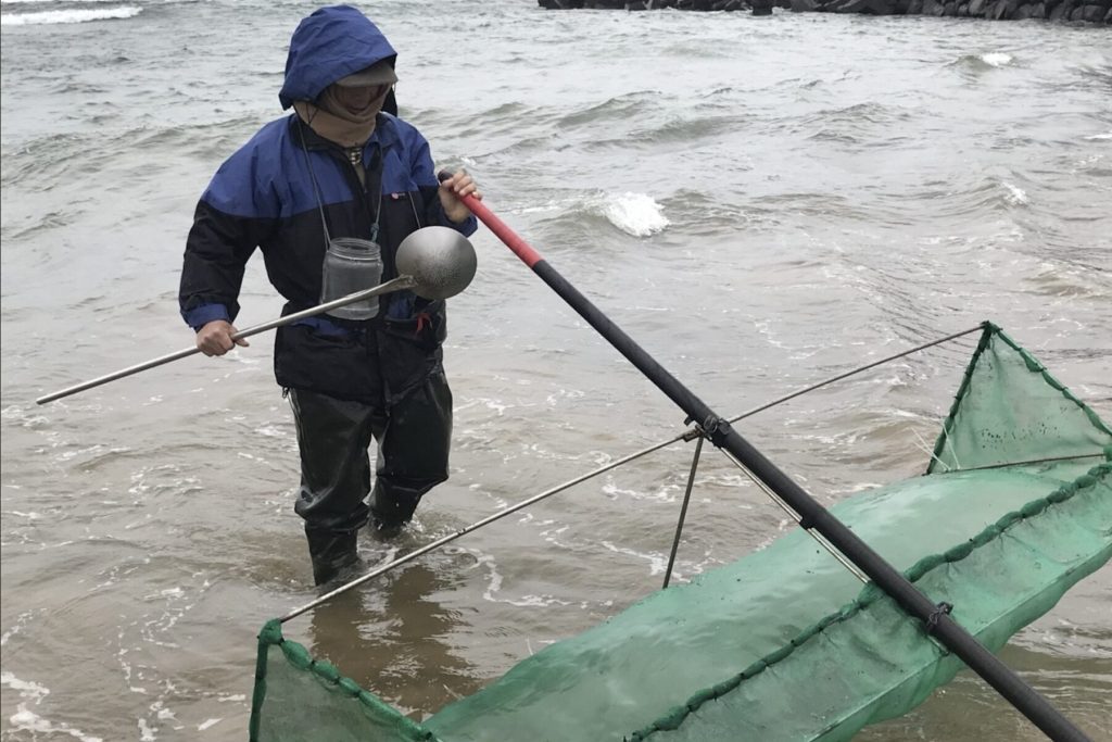 守護鰻魚資源！新北 3 月起進入「禁捕期」     違規採捕最高可罰 15 萬元