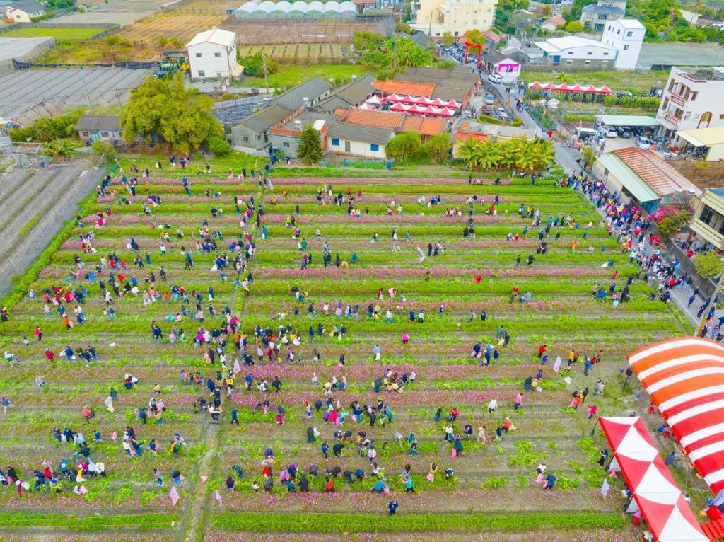 影音/2026樂遊大村．蘿蔔派對千人同樂  促進社區治理與永續發展