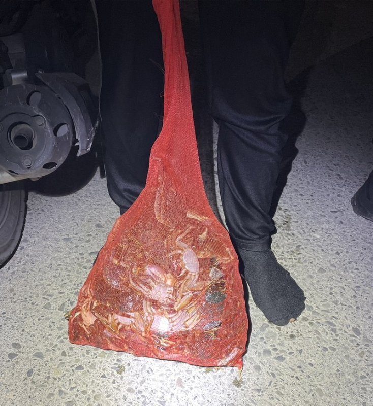 港灣新聞網／沙灘機車未拔鑰匙驚動警方！燈光盡頭竟是越南移工抓螃蟹