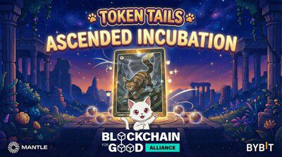 Blockchain for Good Alliance將Token Tails列為2025年重點孵化項目，旨在打造可擴展的流浪貓救助基礎設施