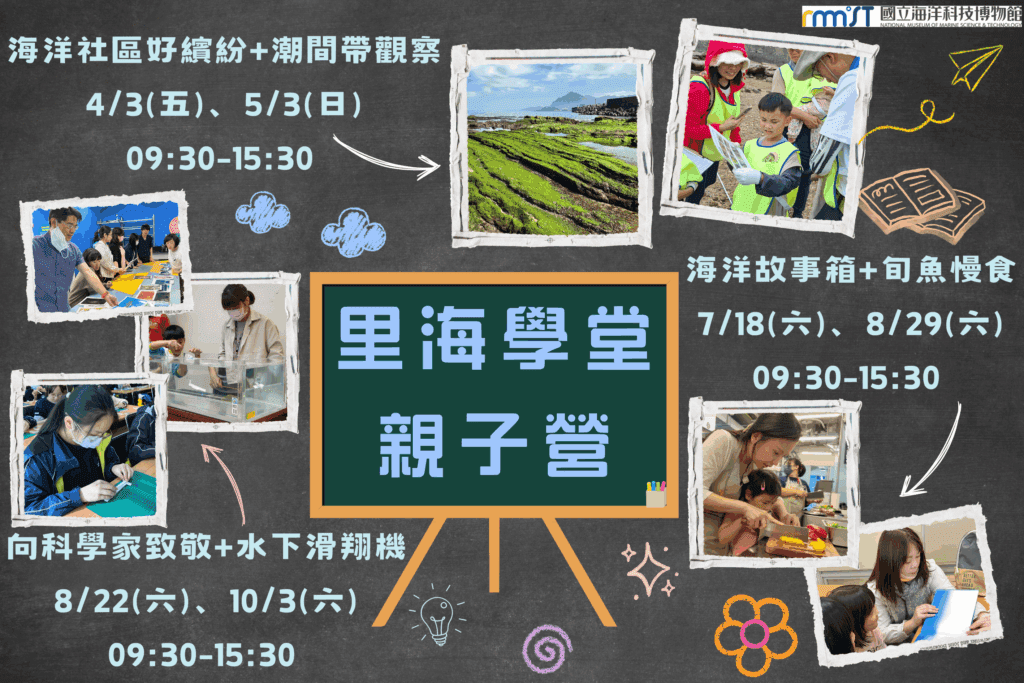 好評回響不斷！海科館「里海學堂親子營」今年加碼登場　走進潮間帶當公民科學家