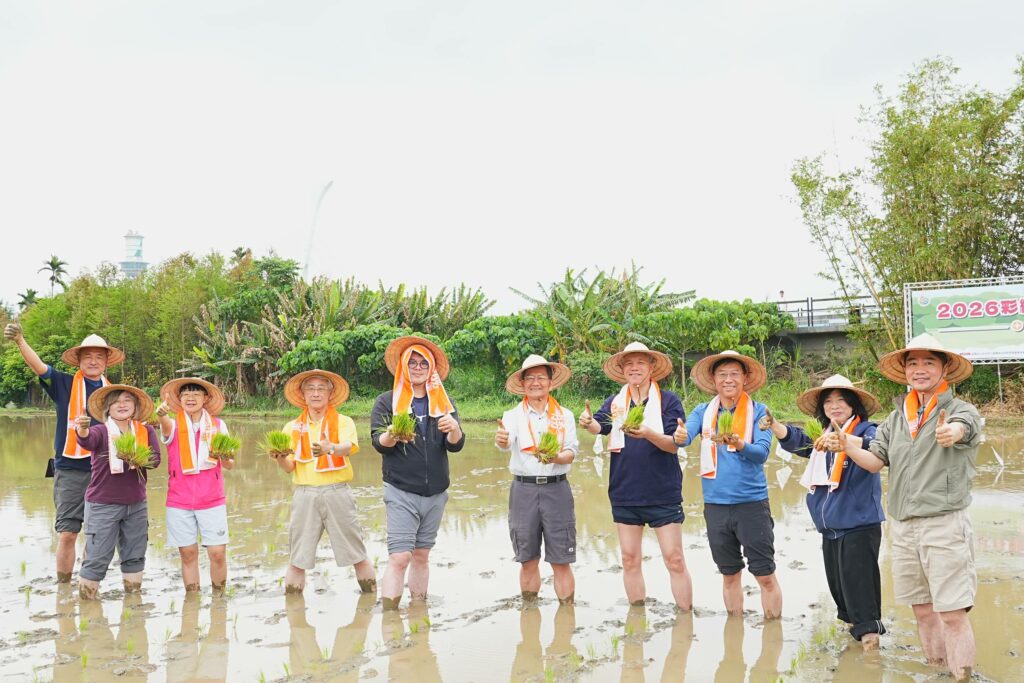 2026關渡平原彩繪稻田盛大揭幕！「策馬揚鞭」六色水稻交織春日最美地景