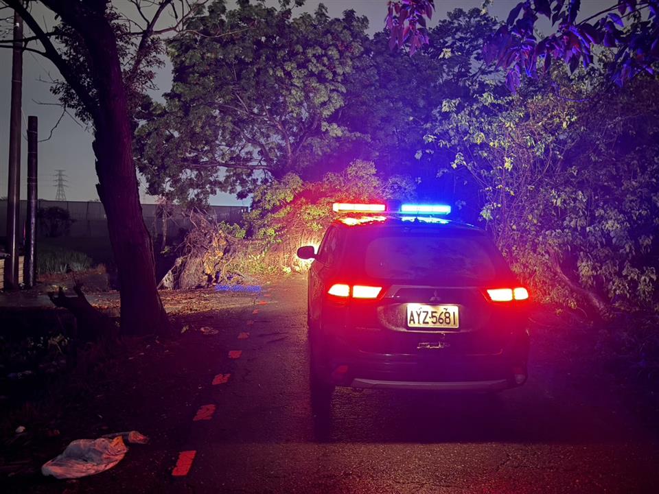 風雨無阻　北斗暖警即時排除路樹倒塌　守護用路人安全
