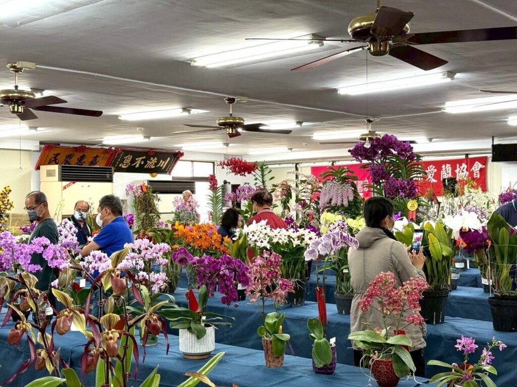 屏東地政攜手九如鄉農會　共賞蘭花幽香與土地記憶