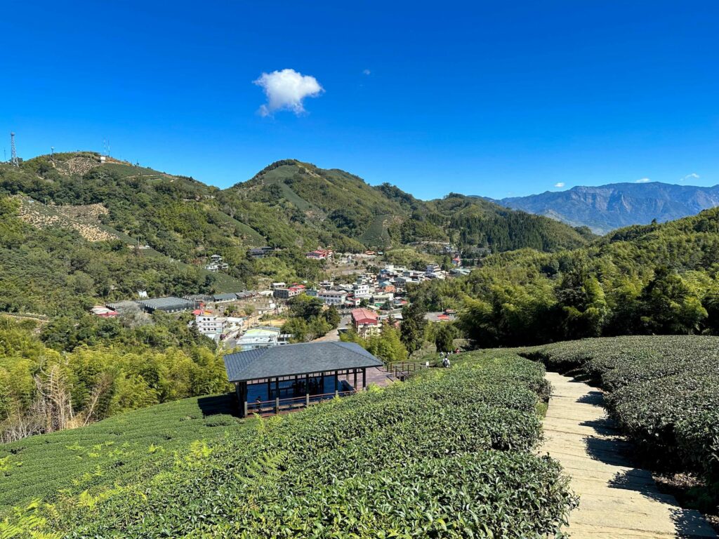 走進嘉義梅山山城　開啟身心療癒的「自然處方」之旅