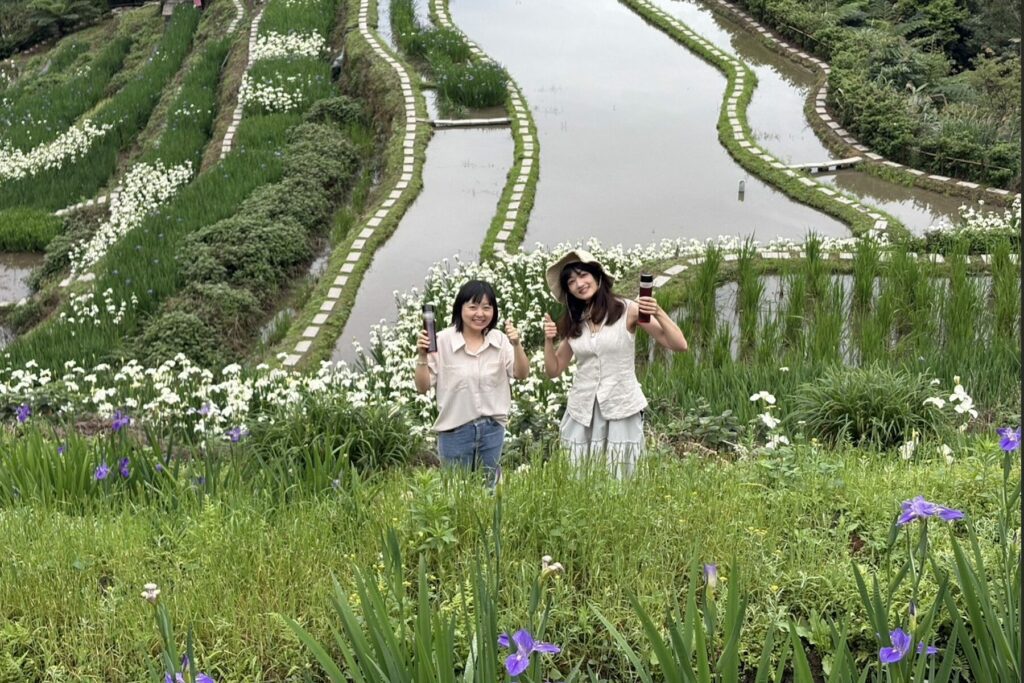 層層疊疊的紫色浪漫！石門嵩山社區鳶尾花季登場     百年砌石梯田變身藝廊
