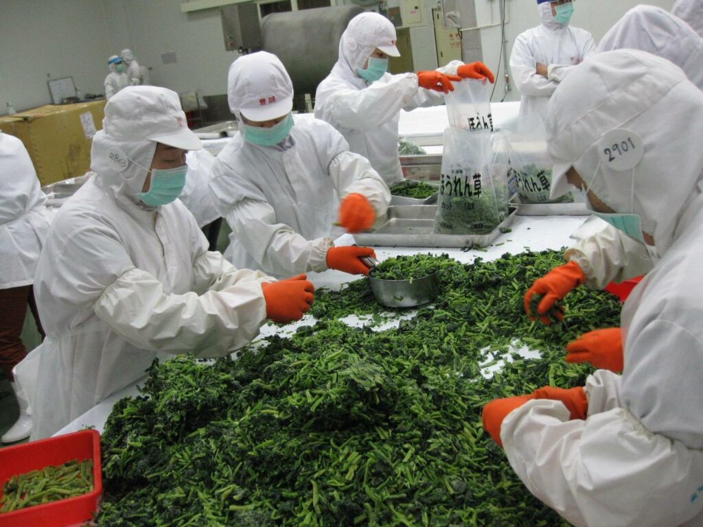 農糧署南區分署冷凍蔬菜  輕鬆上桌