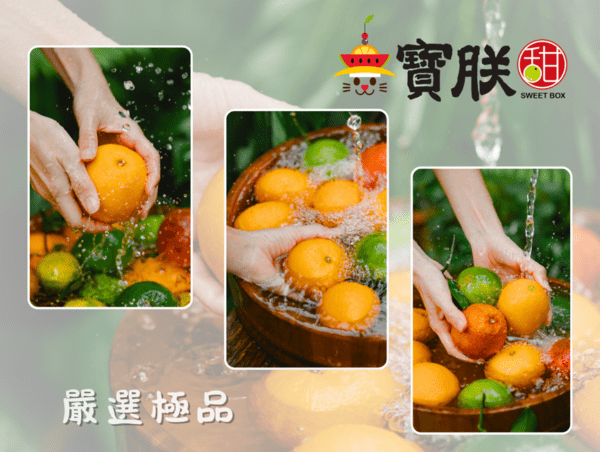 鮮採現摘！「寶朕甜」頂級果物電商專注產地直送 夏季強打夏雪芒果、秋蜜哈密瓜 實踐「一年四季吃到好水果」