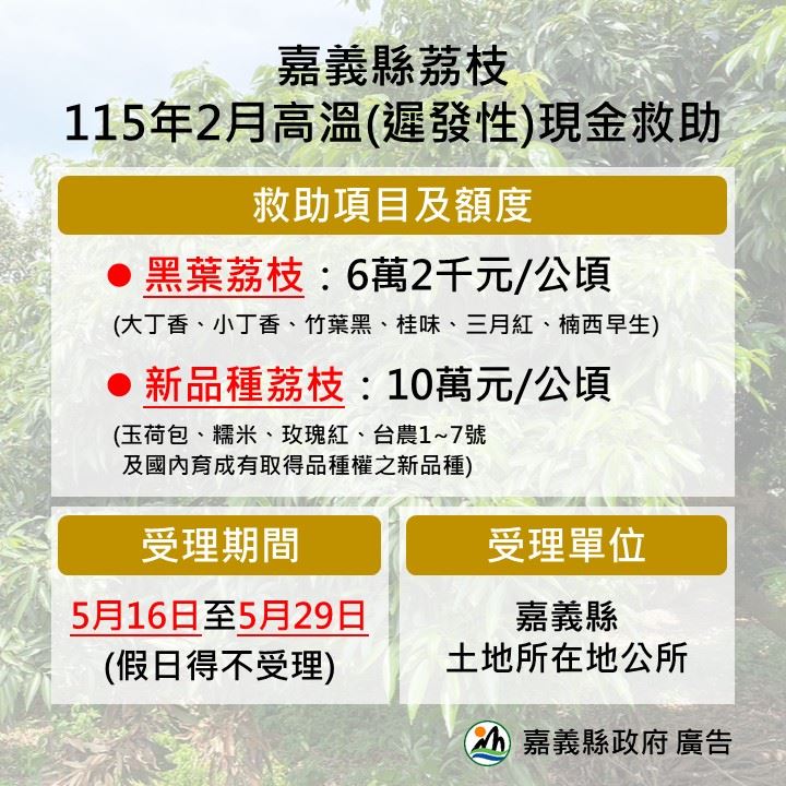 嘉義縣公告辦理荔枝現金救助　5月29日前受理申請