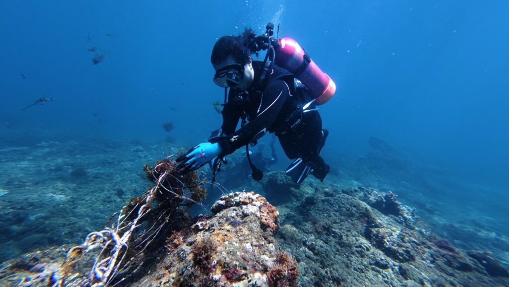 親親墾丁珊瑚海 海人淨海任務成功