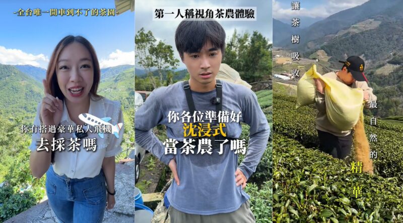 展現台灣新農業文化韌性！TikTok 助攻地方創生     品茗美學注入現代創意被世界看見