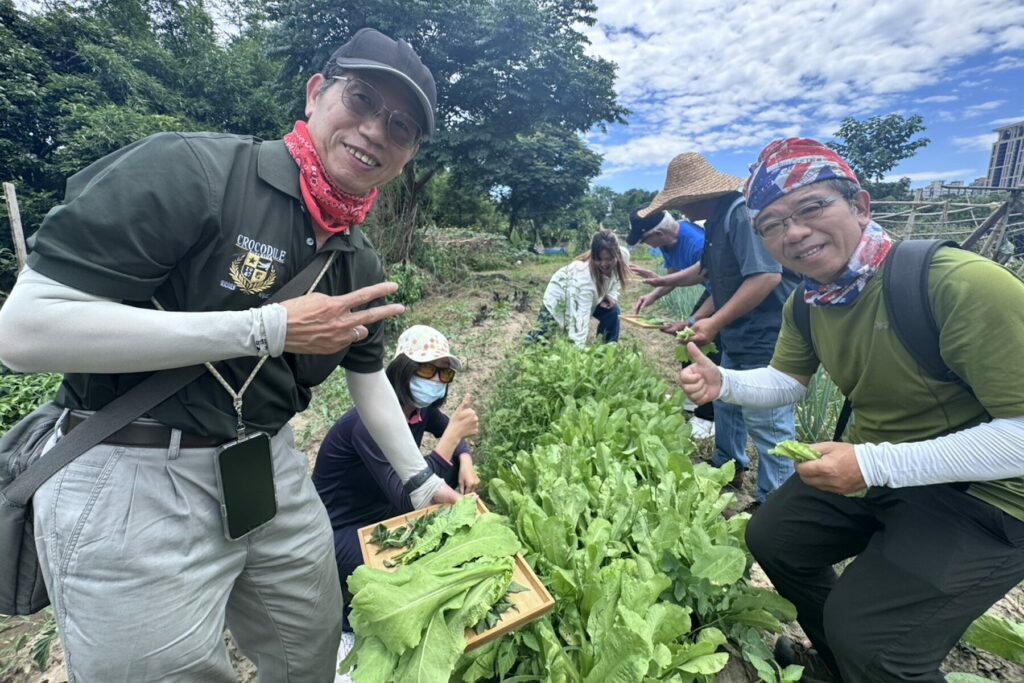 在都會區找回土地連結！新北原民局推野菜食農教育     打造頂級心靈環保大課堂