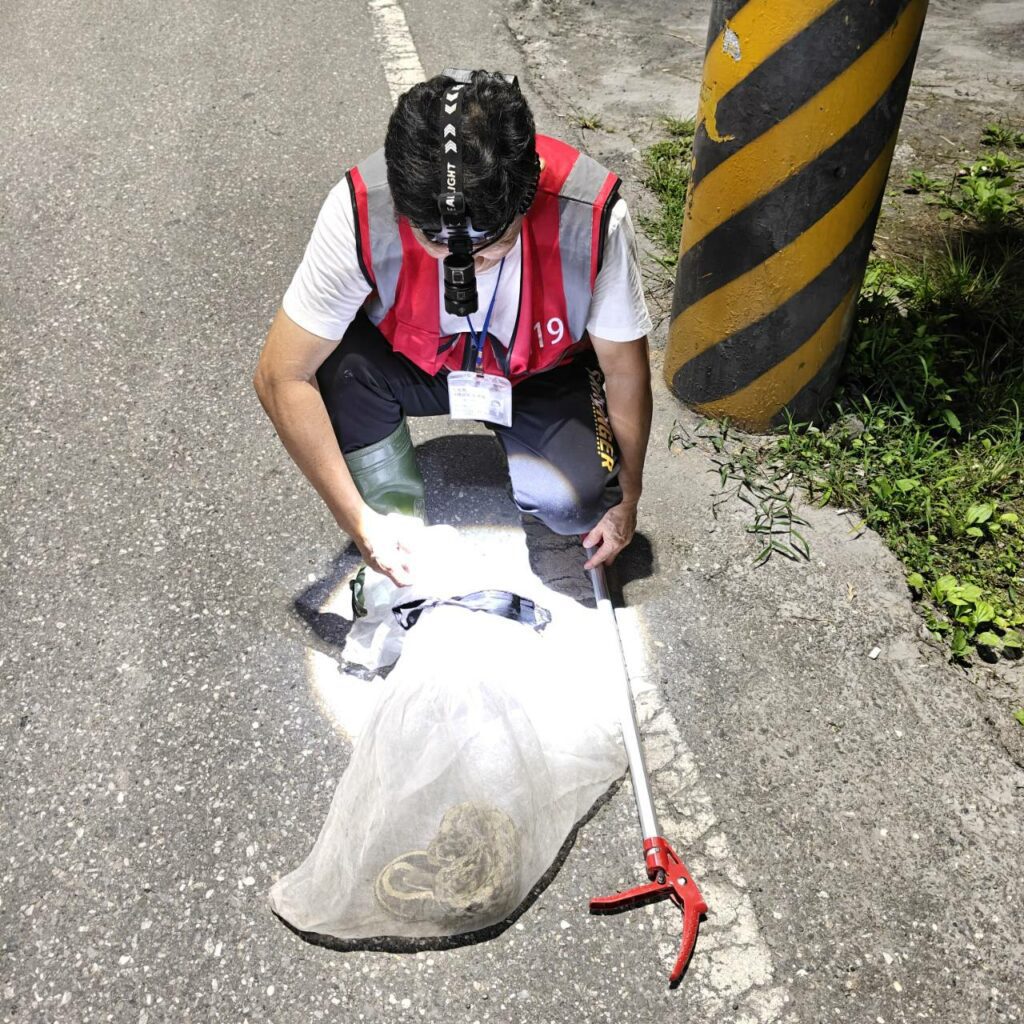 花蓮捕蜂捉蛇由農業處委外執行  民眾仍可撥打119由專人協助處理