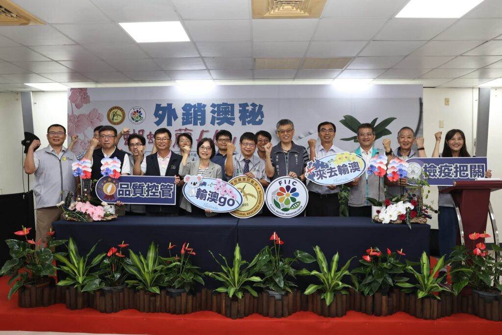 農試所建構輸澳蝴蝶蘭全鏈式管理措施 成功突破檢疫挑戰