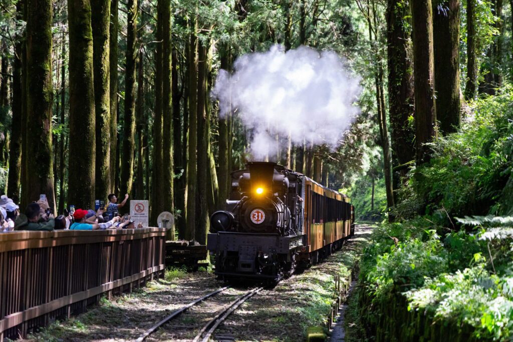 暑假限定開跑！阿里山蒸汽火車遊程錯過不再