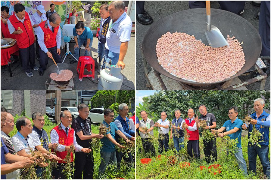 影音/五結沙地土豆開始採收了 要買要吃動作要快