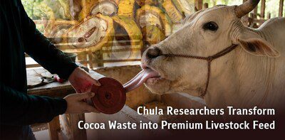 朱拉隆功大學研究人員將可可廢料製成優質畜禽飼料