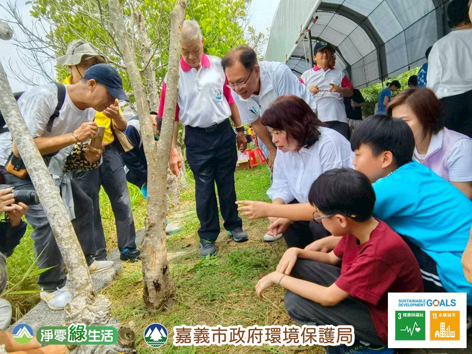 跟著小小解說員尋訪獨角仙　頂庄里開幕季邀民眾展開生態之旅