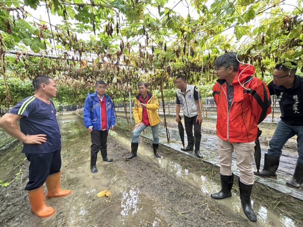 6月豪雨連連造成屏東農損　爭取農業部天然災害救助全品項免勘