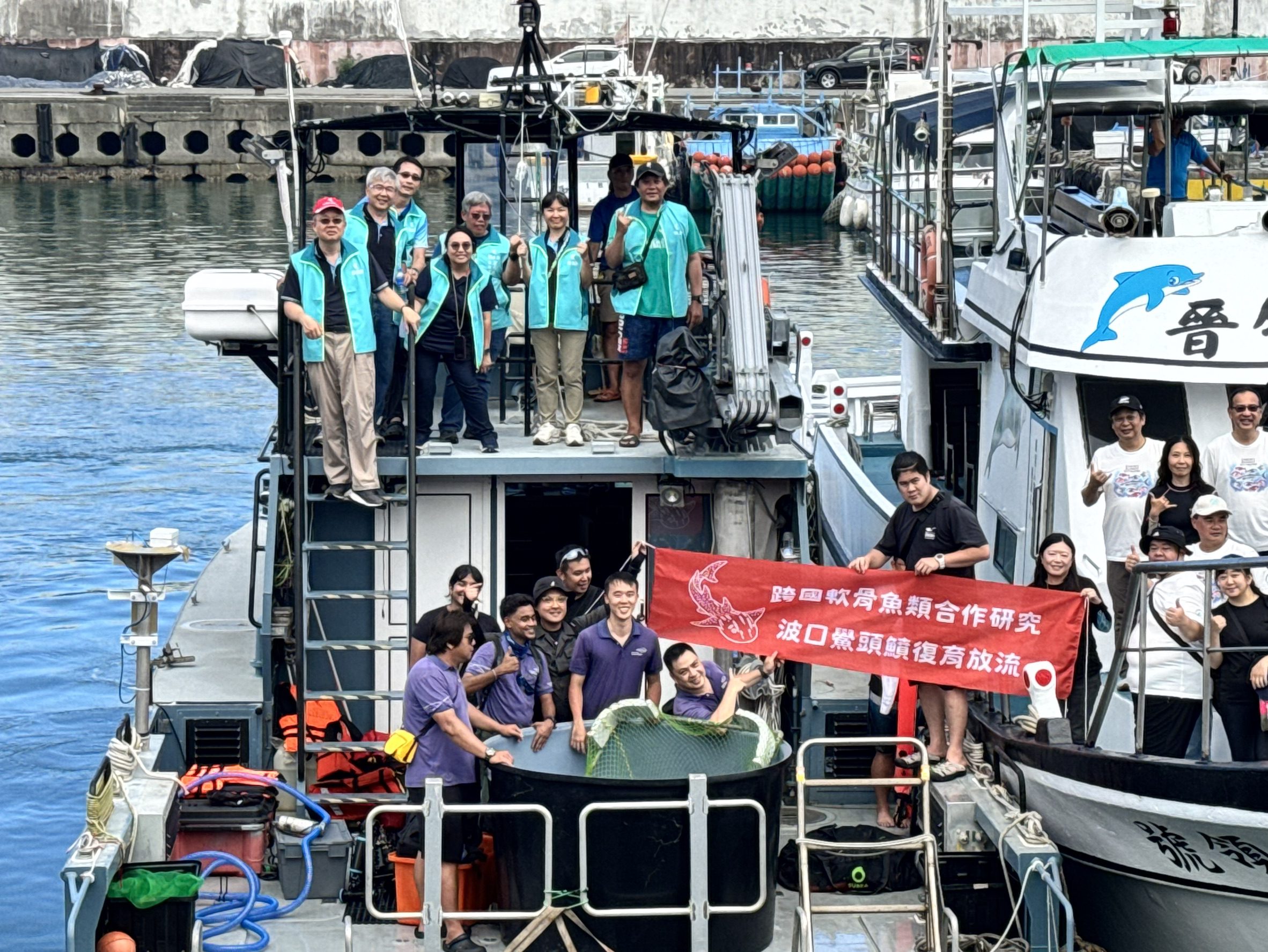 守護極危「波口鱟頭鱝」：海生館攜手國內外夥伴展開保育行動