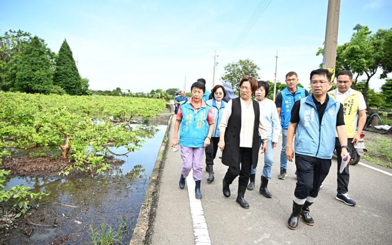 彰化連日豪雨重創農作  王惠美現勘溪州芭樂疾呼中央：納入天災現金救助
