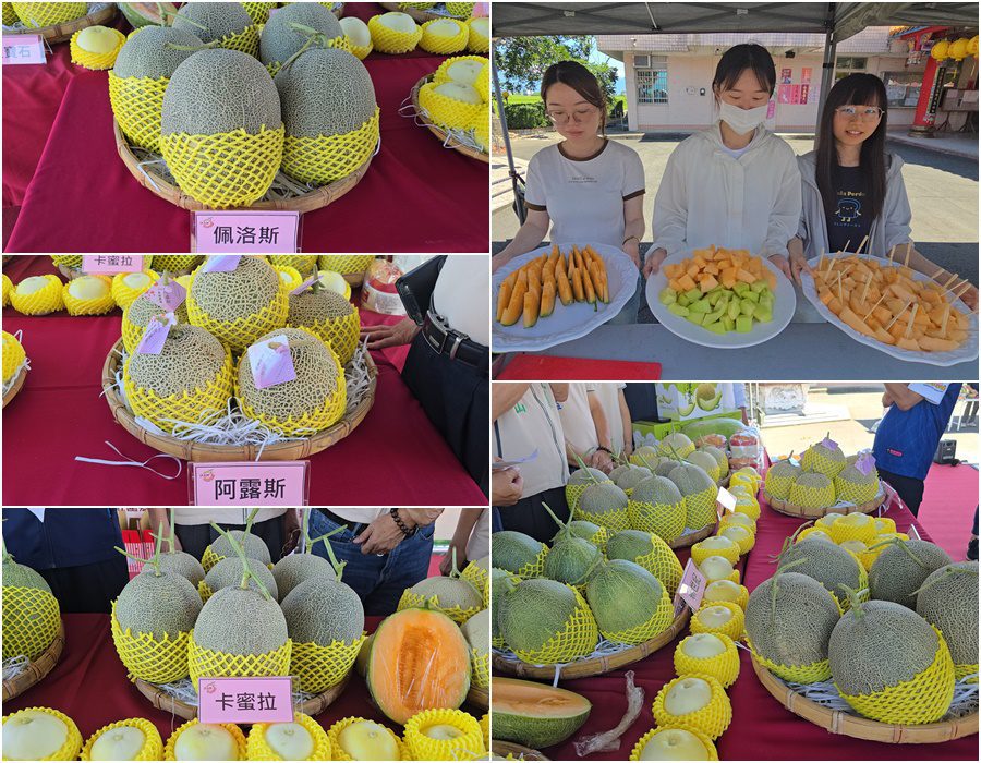 影音/壯圍健走饗瓜果6/6登場 有吃有拿還能享受田園趣
