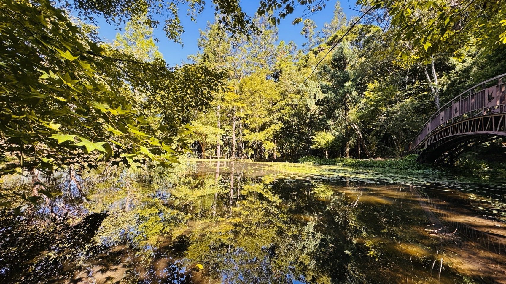 「原」來你在奧萬大　7月31日至8月2日　全民10元入園