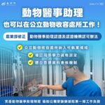 強化公職獸醫輔助戰力！農業部防檢署修正動醫助理認證辦法 保障毛孩權益！