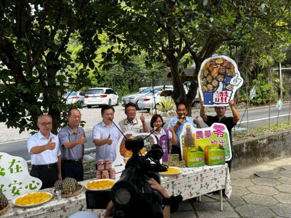 宜蘭二湖鳳梨甜蜜上市　甜度14度以上、農藥零檢出　線上平台開賣宅配全台