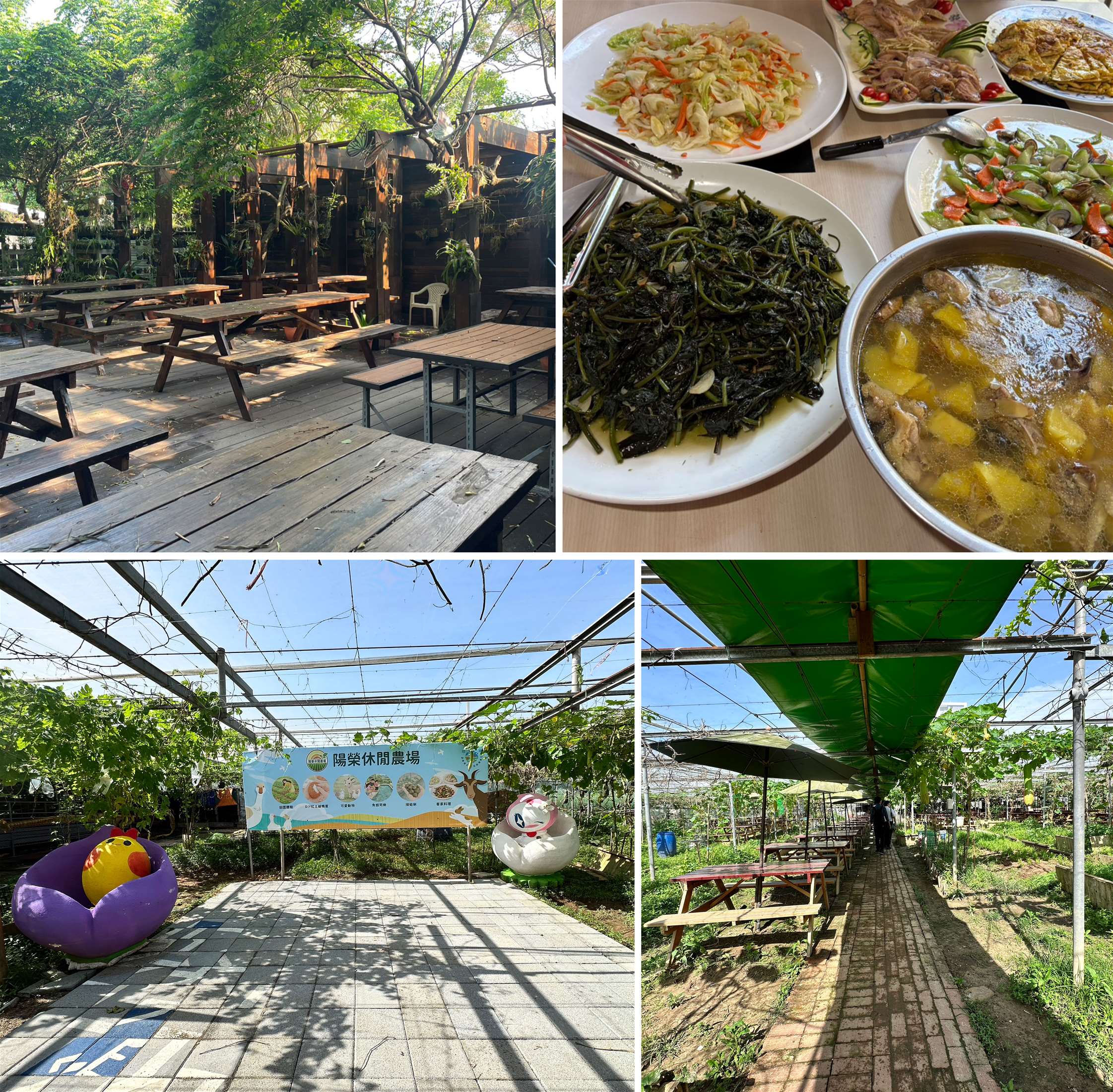 夏日消暑推薦！桃園珍珠海岸清涼農遊   體驗大王蓮水上漂、鮮採瓜果及產地風土餐桌