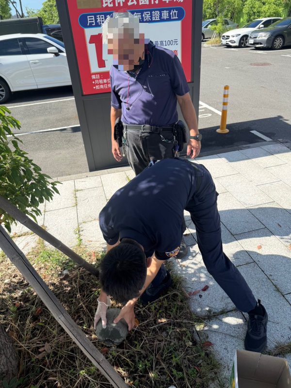 港灣新聞網／馬路驚見「迷途小坦克」！前鎮暖警衝車陣抱起陸龜　成功救援化解驚魂