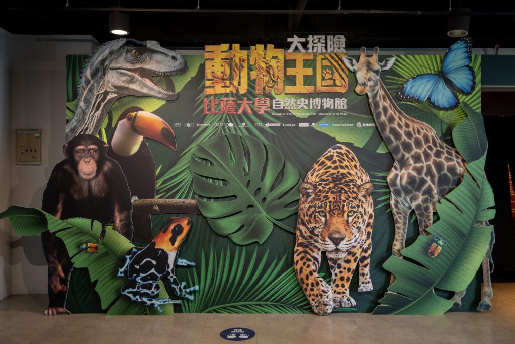 暑假到科教館探索生命 沉浸體驗《動物王國大探險展》