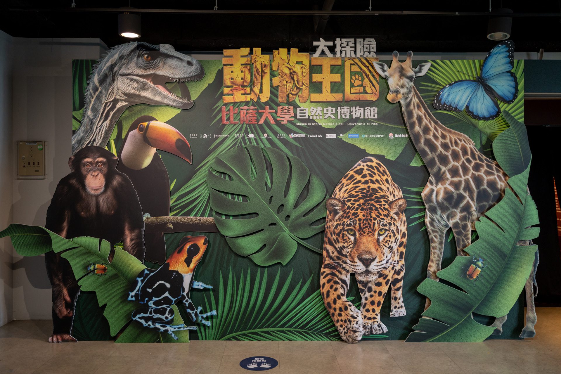暑假到科教館探索生命 沉浸體驗《動物王國大探險展》
