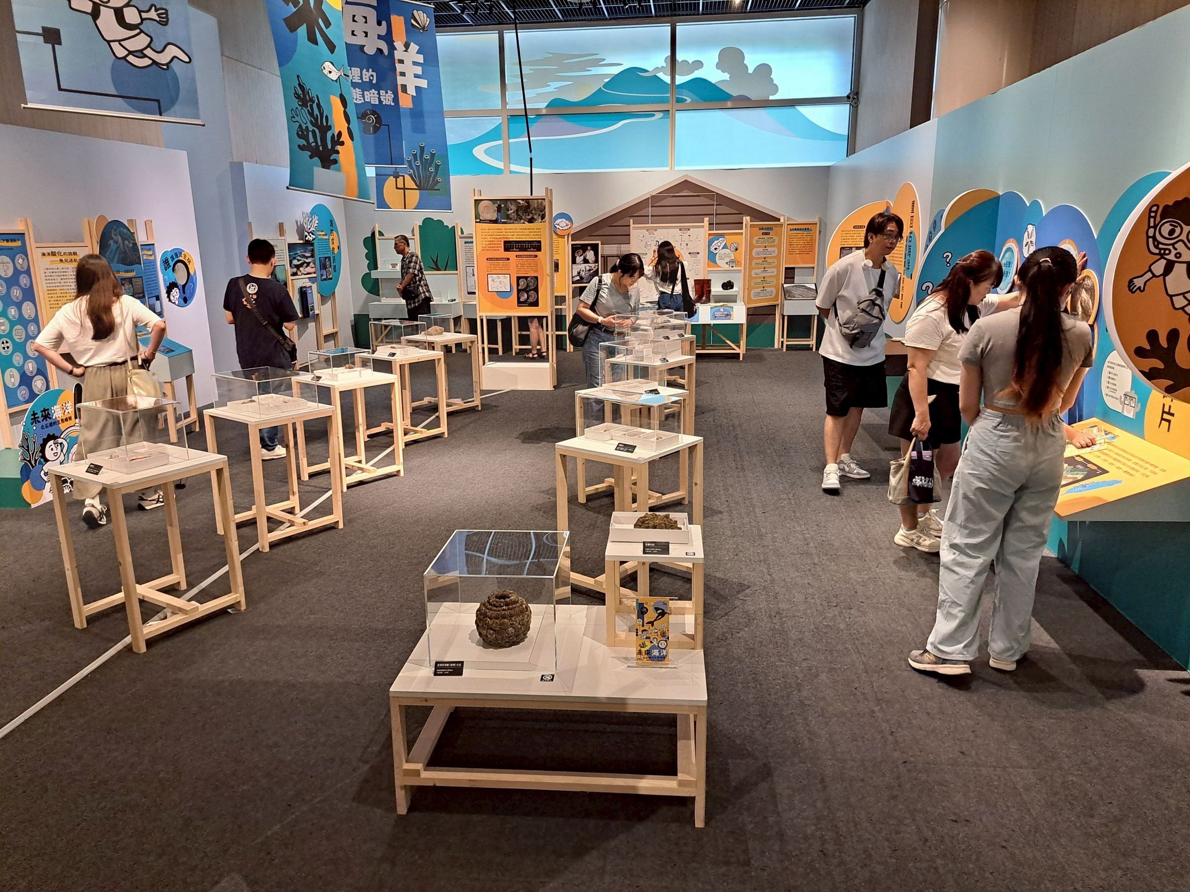 嘉義百萬年前竟是一片海！博物館化石特展揭遠古祕密
