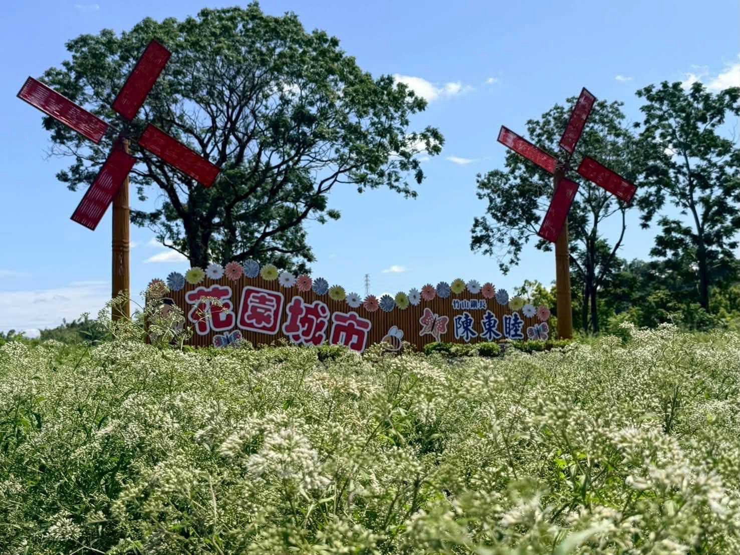 綠美化開花結果　竹山九十九崁變身蝴蝶天堂