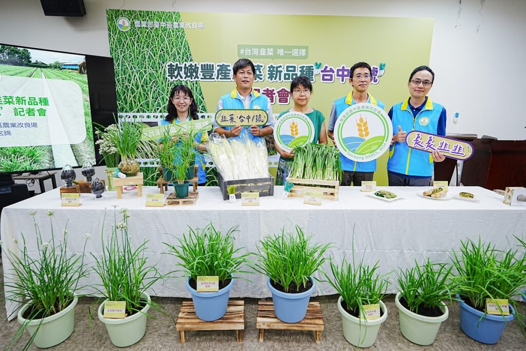 中區農改場成功育成韭菜新品種  ‘台中1號’提升國產韭菜品質及農民收益