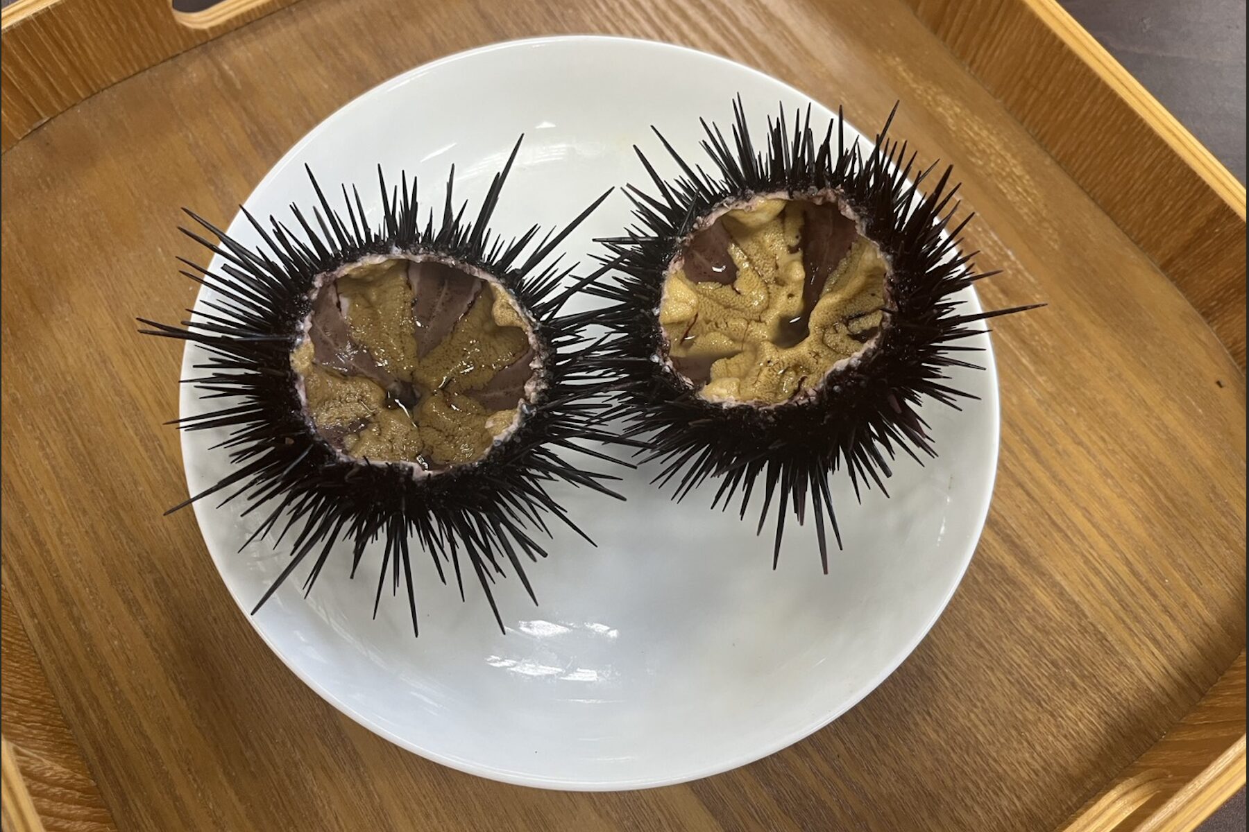 新北東北角紫海膽進入盛產期  漁業處邀民眾品嚐當季鮮甜海味