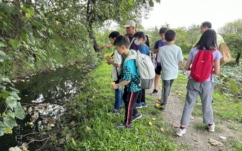 化身濕地小魔法師  新北漳和濕地暑期體驗營帶領學童探索自然生態奧妙