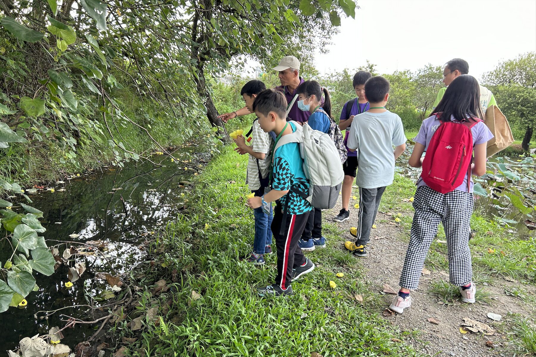 化身濕地小魔法師  新北漳和濕地暑期體驗營帶領學童探索自然生態奧妙