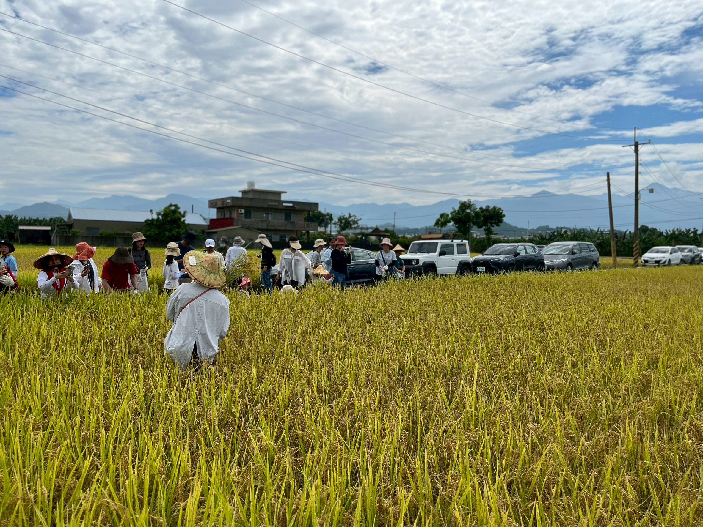 高雄客家米食節系列活動起跑！ 首推美濃食農小旅行 邀親子循著米香走進客庄