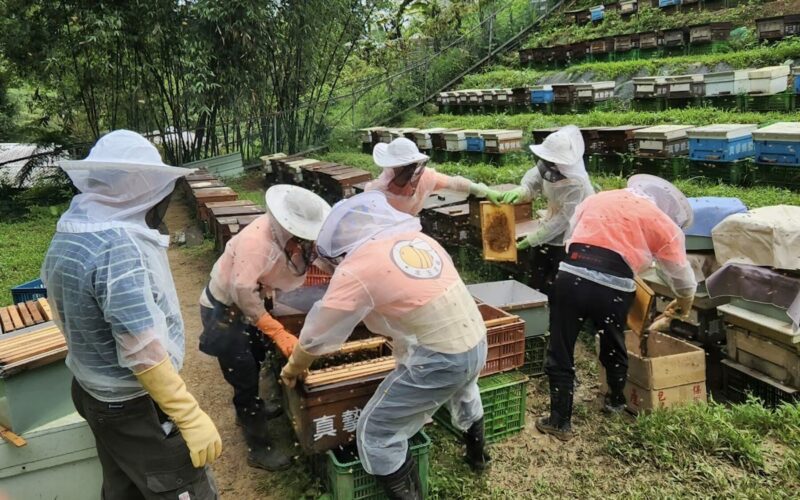 新北平溪紫東社區紅淡蜜　榮獲國際風味評鑑所二星獎章肯定
