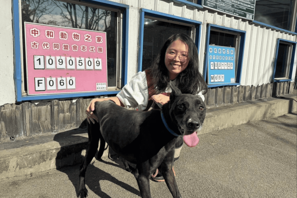 動物之家最暖志工     「古代同盟會」十年如一日守護犬貓