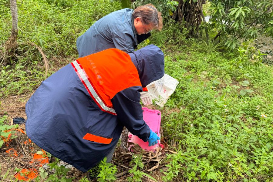 新北爆首例本土登革熱 6旬婦無旅遊史感染源不明