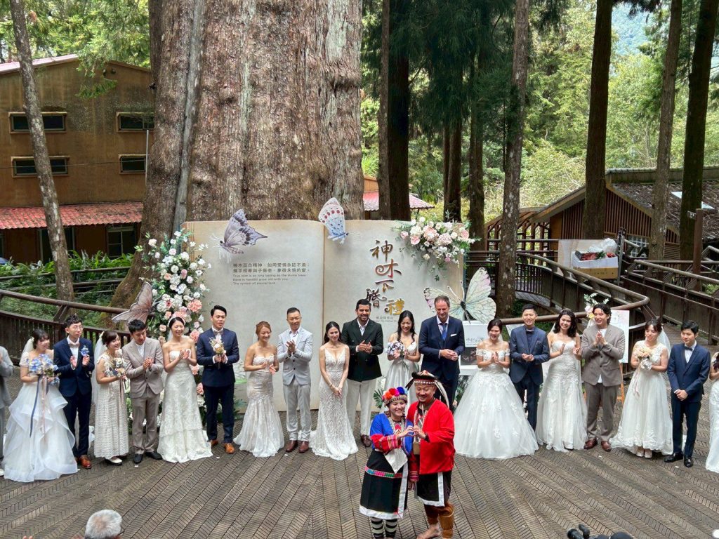 阿里山神木婚禮入住阿里山賓館　盡享絕美無價雲瀑流雲婚旅