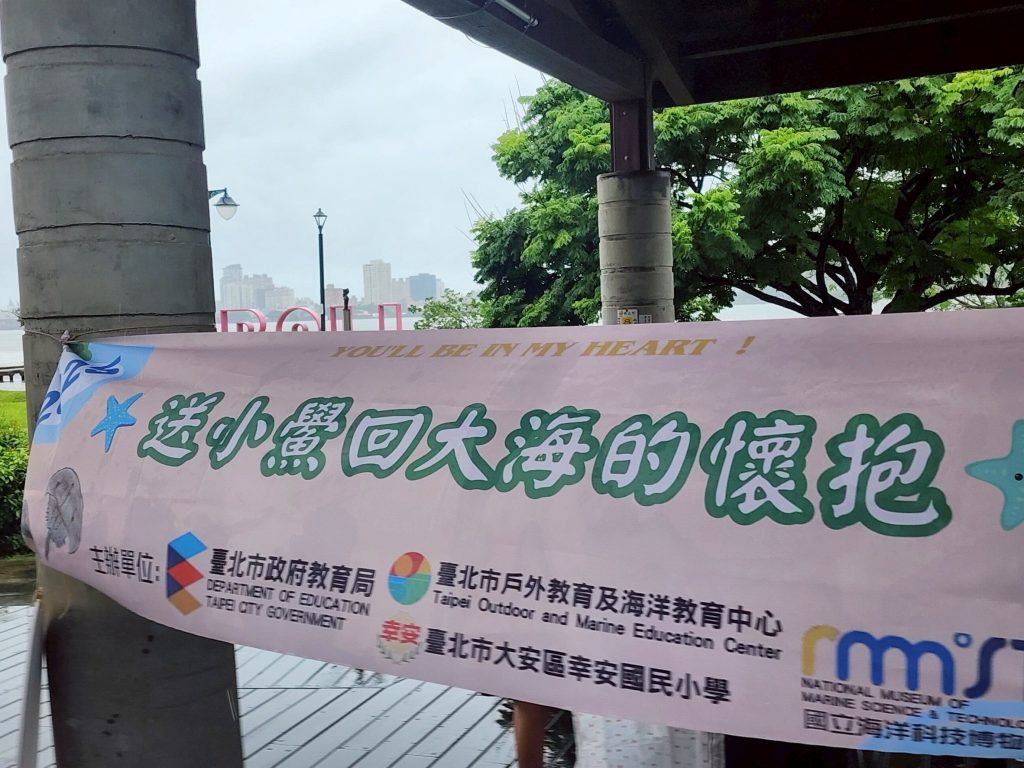 千隻鱟寶寶回家了！北市40校學子用行動守護海洋生態