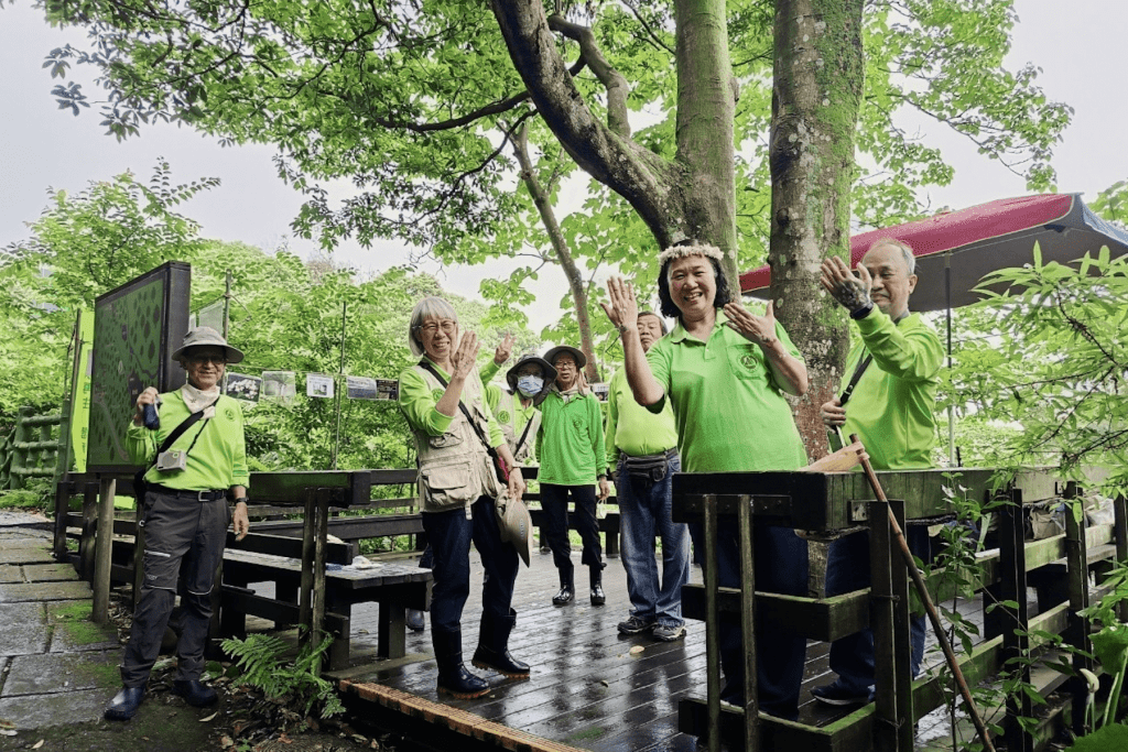接力櫻花、杜鵑花季     新北桐花祭49場旅程帶你賞花賞到飽     4/10開搶