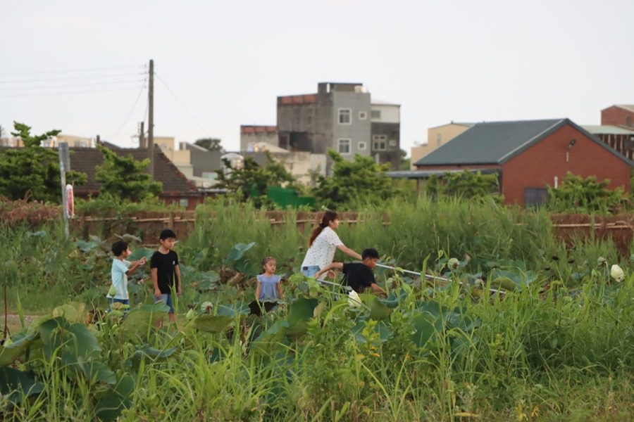 荷開盛夏 椬梧映月塘打造全齡休閒場域，呈現在地風味與自然美景的極致饗宴