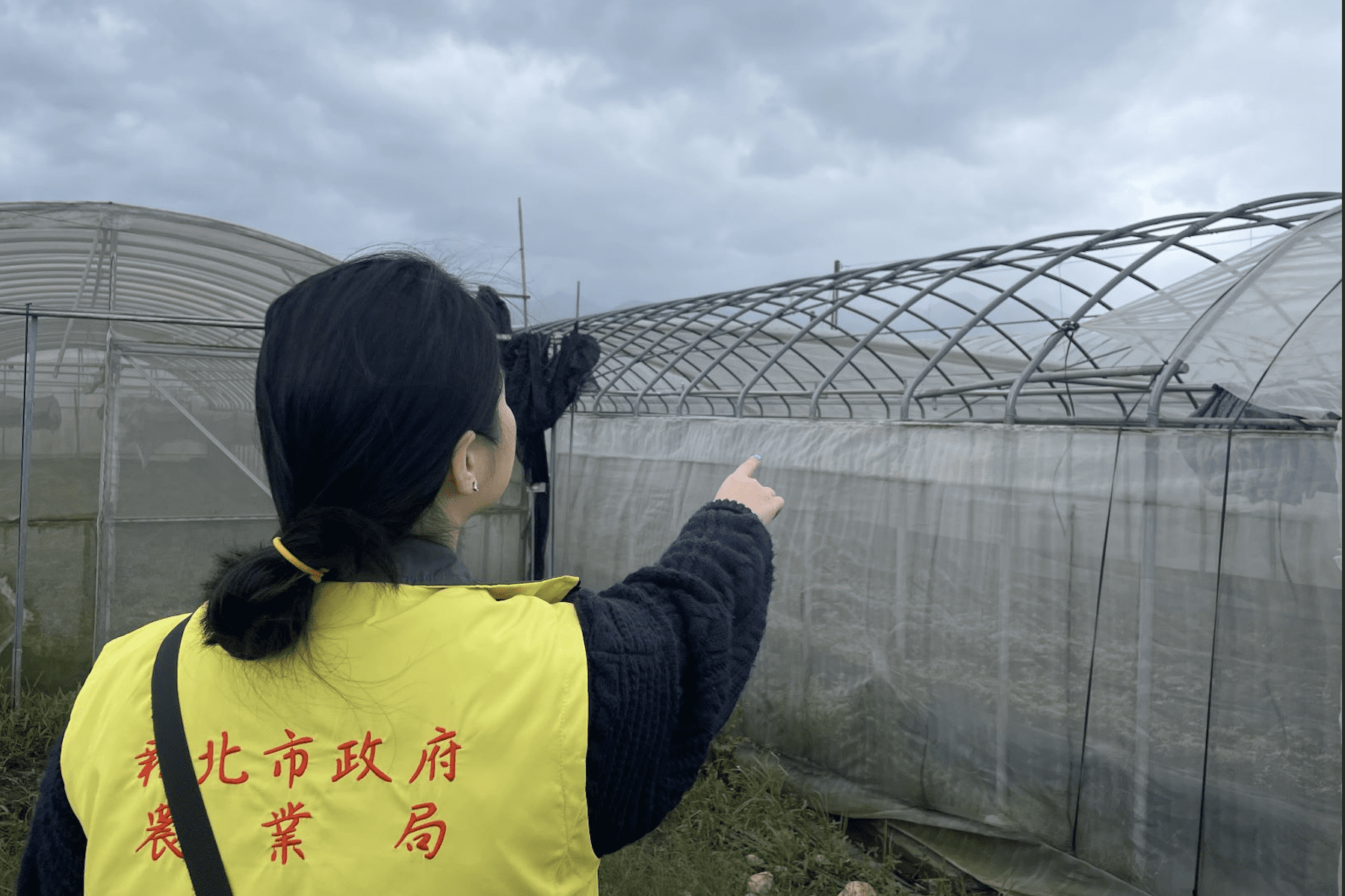 新北災後農業救助啟動     竹筍茭白筍補助申請倒數中