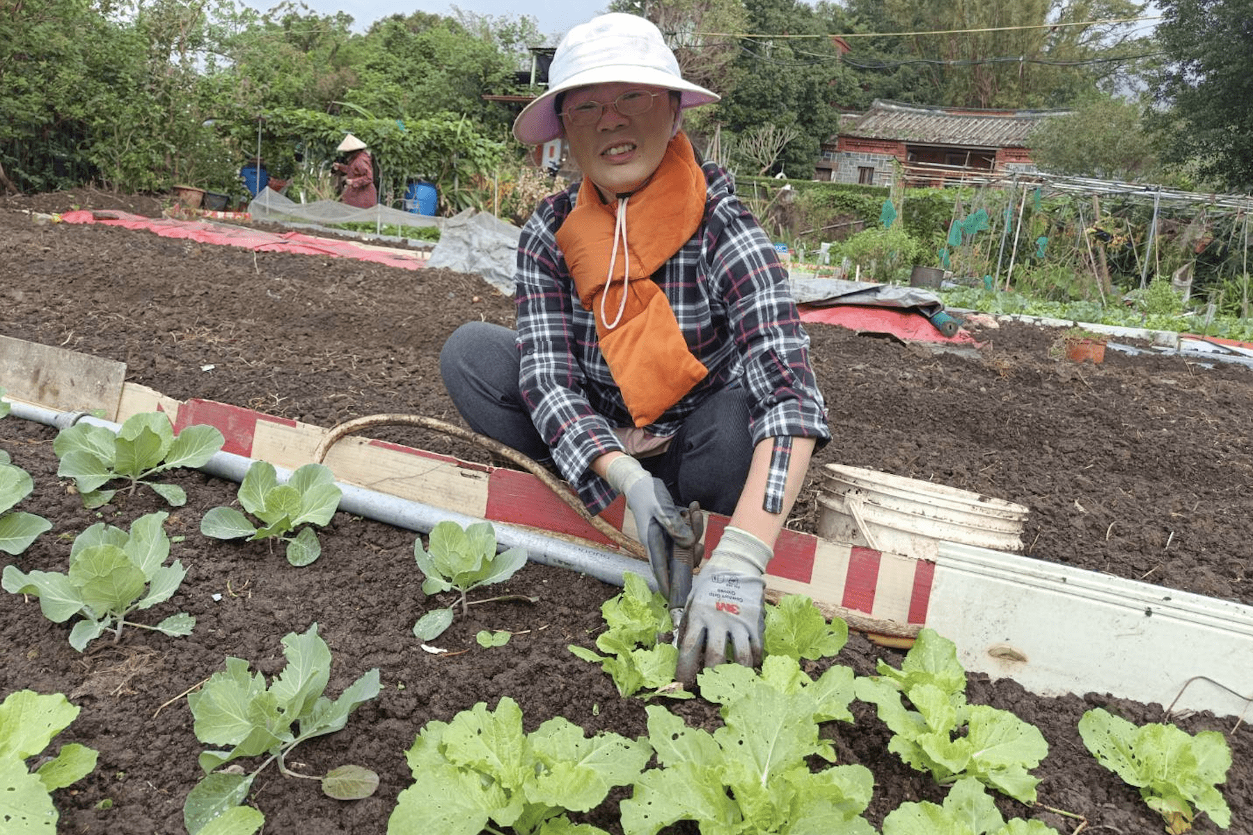 新北市民農園熱租中　一起體驗田園樂趣　共享有機健康生活